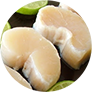 Callo-de-Hacha