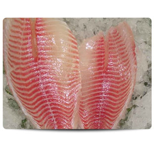 Filete-Tilapia