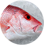Pargo